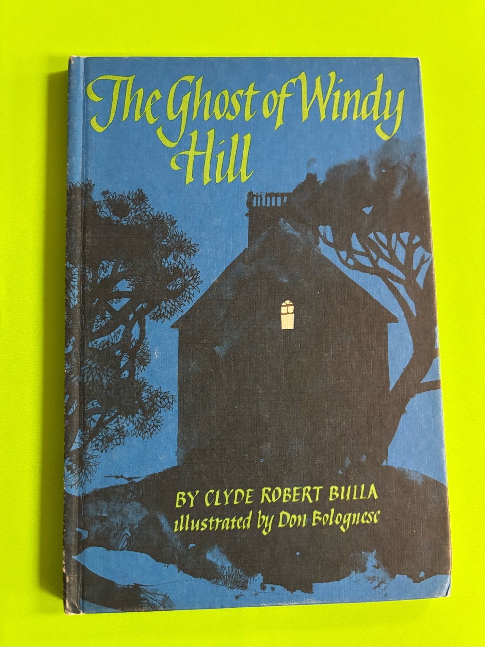 The Ghost of Windy Hill Book